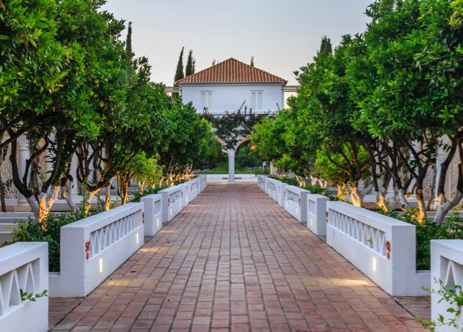 B&B - Farm house en Moncarapacho