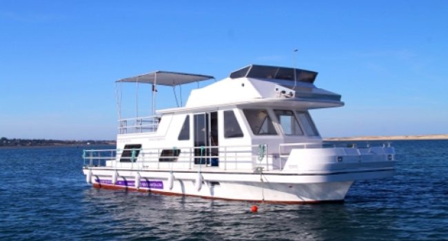 barco-casa-na-ria-formosa9