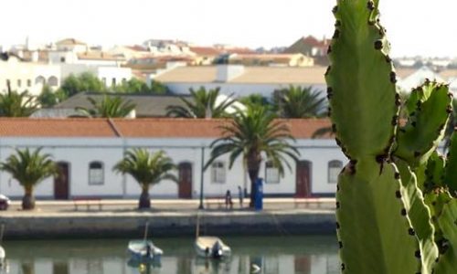 centro-de-tavira14